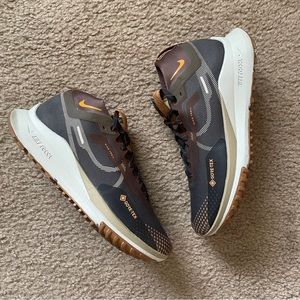 Nike Pegasus Trail 4 - Iron Anthracite